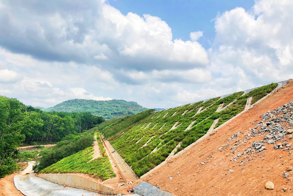 巅峰国际官网-追求康健,你我一起生长