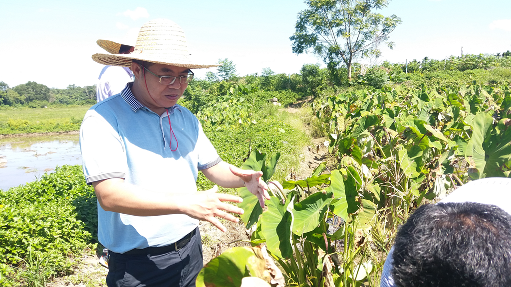 巅峰国际官网-追求康健,你我一起生长