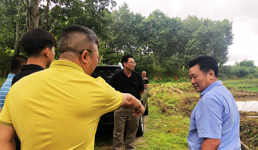 巅峰国际官网-追求康健,你我一起生长