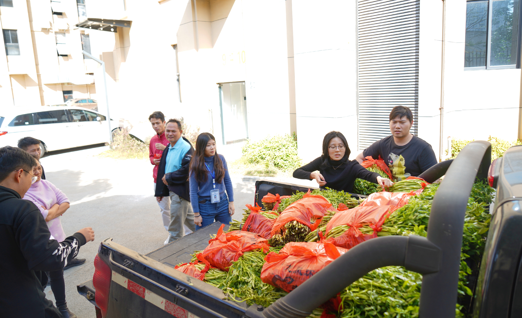 巅峰国际官网-追求康健,你我一起生长