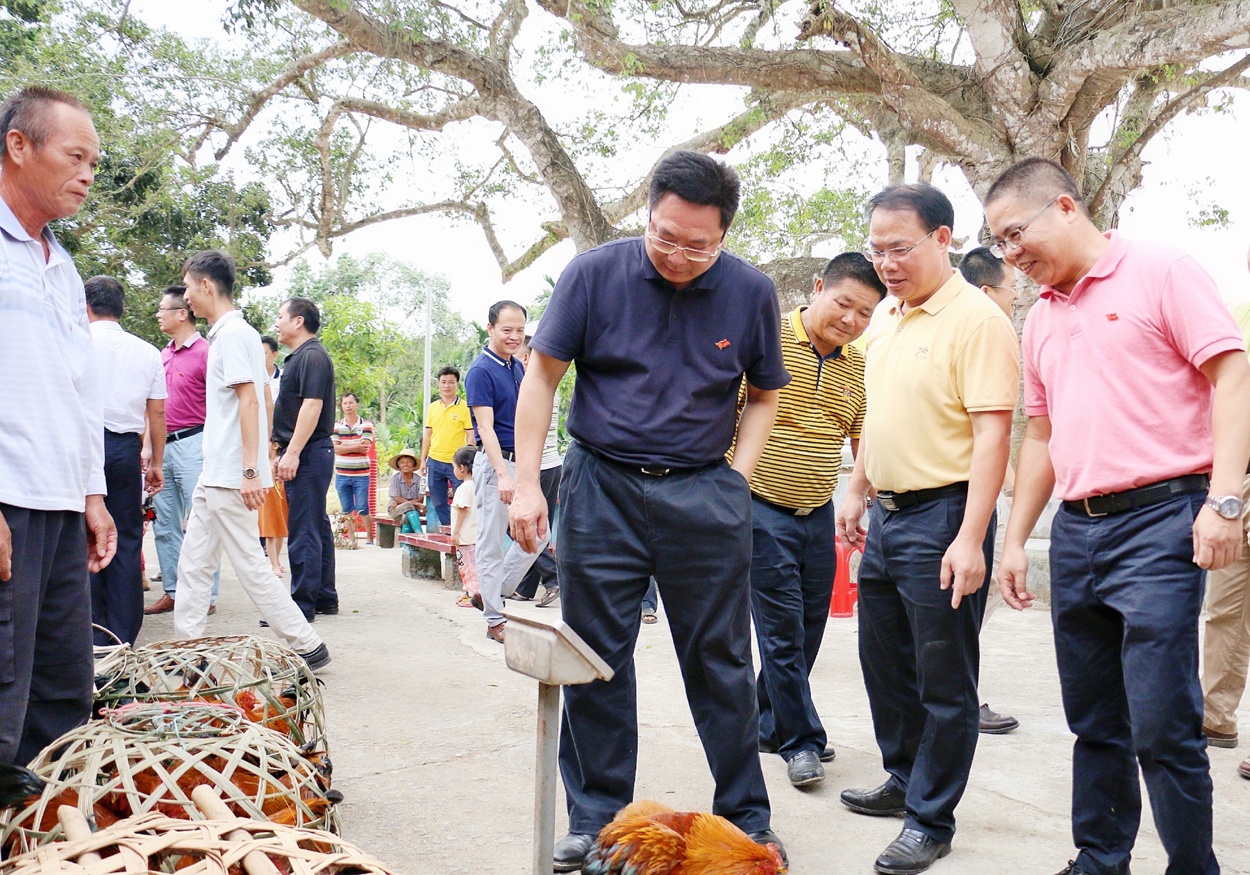 巅峰国际官网-追求康健,你我一起生长