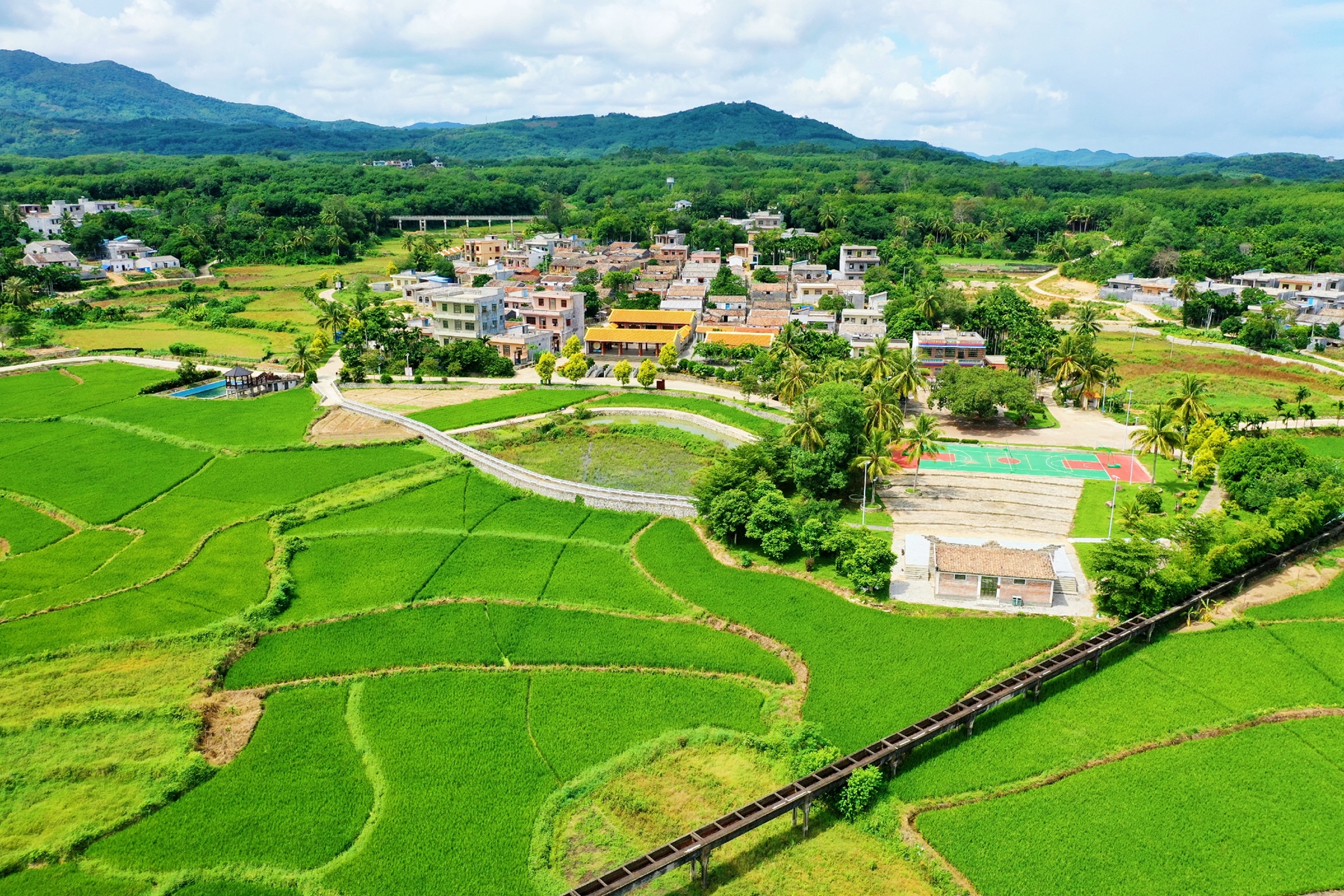 巅峰国际官网-追求康健,你我一起生长