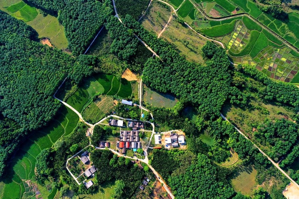 巅峰国际官网-追求康健,你我一起生长