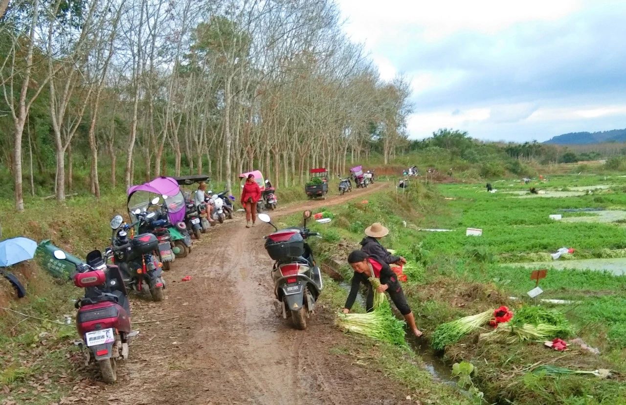 巅峰国际官网-追求康健,你我一起生长