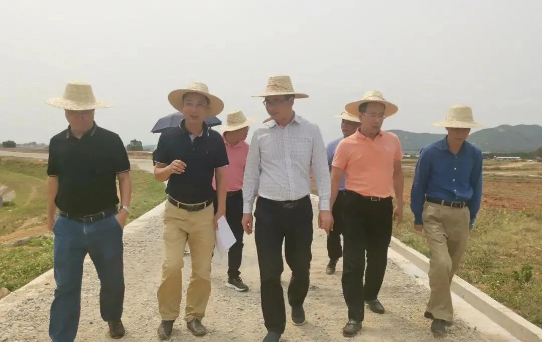 巅峰国际官网-追求康健,你我一起生长