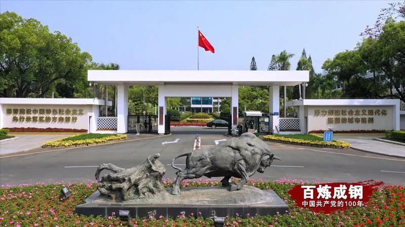 巅峰国际官网-追求康健,你我一起生长