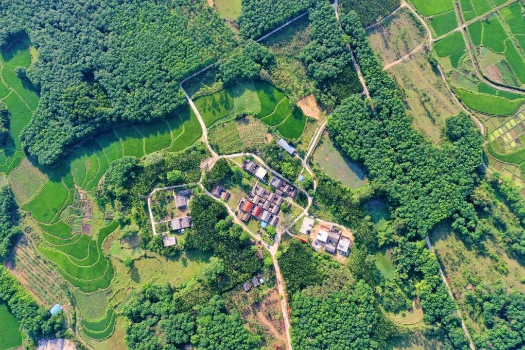 巅峰国际官网-追求康健,你我一起生长