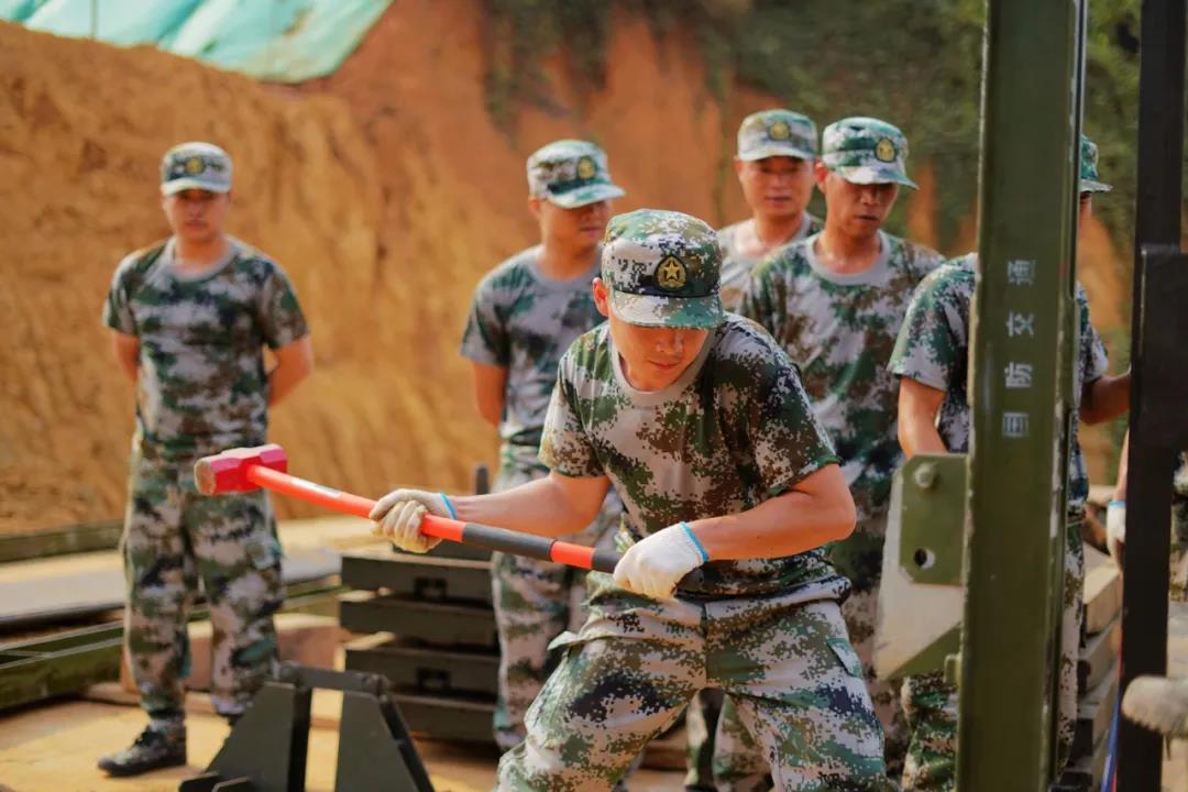 巅峰国际官网-追求康健,你我一起生长