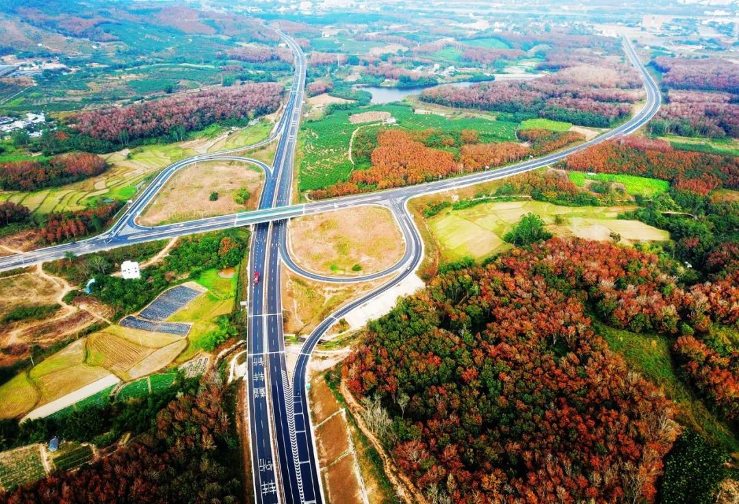 巅峰国际官网-追求康健,你我一起生长