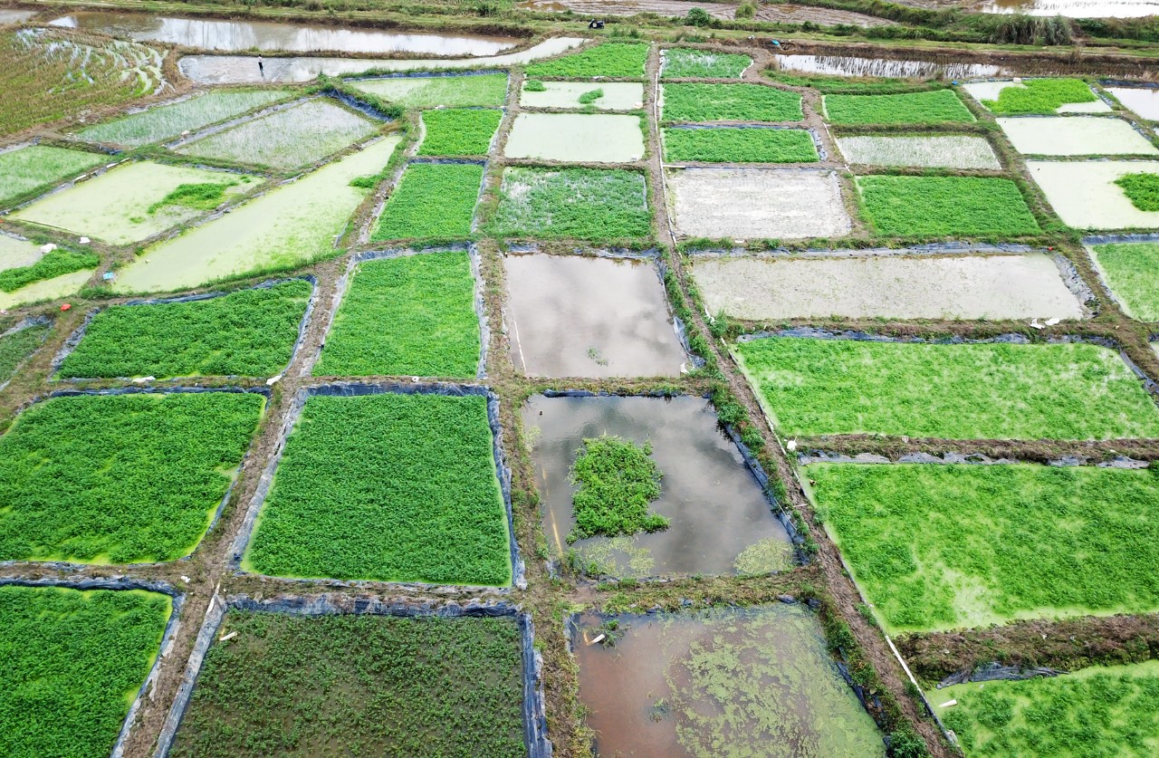巅峰国际官网-追求康健,你我一起生长