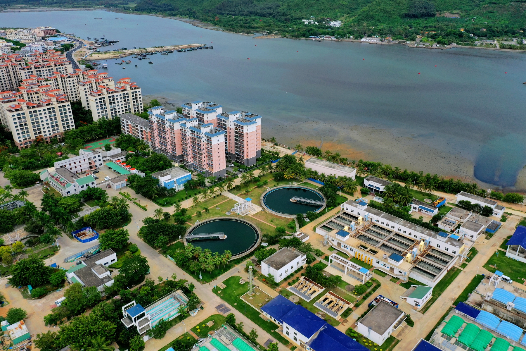 巅峰国际官网-追求康健,你我一起生长